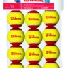 Balles De Tennis Wilson Starter Red Trainingsball Yellow Red (12 Balles) -Tennis Soldes Boutique WRT137100 12ball Starter Red Transition